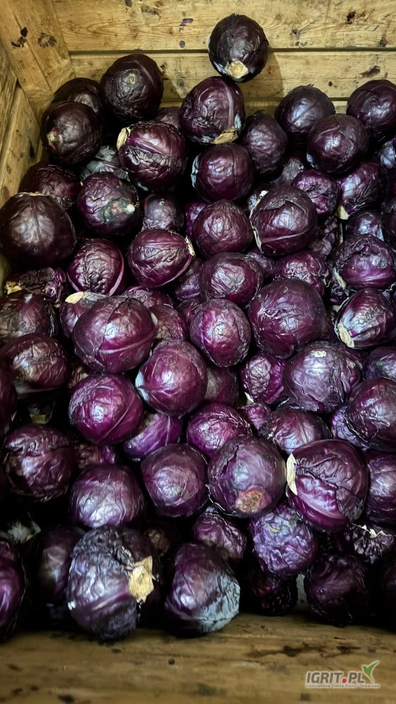 /images/posts/2025/05/2009170/Gte3LXsN80kt9yBFXphha5nPMKjQs8HBcvAHwf5h.jpeg