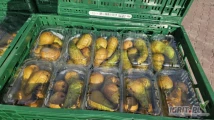 Sprzedam około 1 tony gruszki w punetce kaliber 50/60mm cena 2 zł/kg czyli za 1 punetkę wraz z opakowaniem, punetki możemy przełożyć...