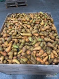 Sprzedam 1000kg gruszki konferencji na przeciery, musy itd. Gruszka drobna twarda