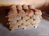 Sprzedam ziemniaki odpadowe okolo 3t
