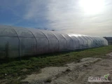 Sprzedam tunel foliowy o wymiarach: długość 60 m, szerokość 7 m, wysokość 2,5 m. Główna konstrukcja zbudowana z rurek o średnicy...