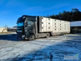 Wykonam usługę transportu zwierząt specjalistyczną naczepą, 3 poziomy świnie/owce, 2 poziomy bydło. Cały kraj. Zapraszamy do...