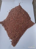 Sprzedam sorgo czerwone suche zbiór 2024