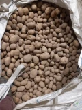 Sprzedam tirowe ilości ziemniaków Tajfun  w big bagu .