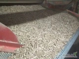  Wysłodki buraczane niemelasowane granulowane! 
