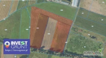 [13,19 ha] przetarg nieograniczony na 5-letnią dzierżawę gruntów rolnych [powiat rawicki, woj. wielkopolskie] użytek RIV,RIVa.RIVb...