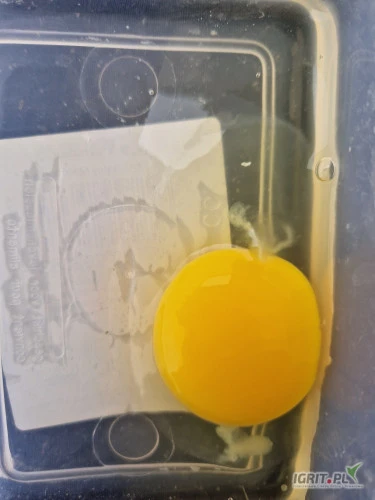/images/posts/2025/01/1955570/6iJHzUbWxzs9QMAiK6OzgfHWwDxEGKjkp3pXzLOX.jpeg