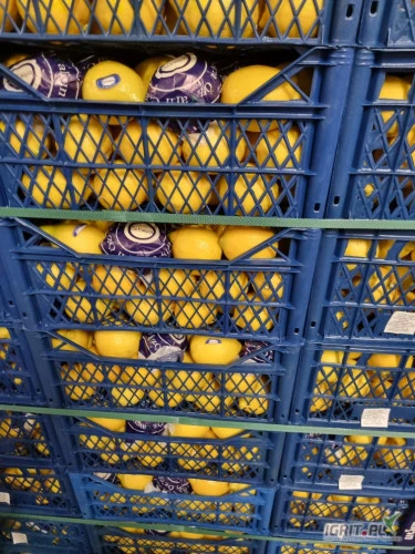 /images/posts/2025/02/1970984/o6qcXETqtgc2WhGjShPovC7IQfrlDdaeP4uHFofe.jpeg