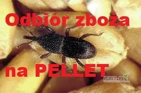 /images/posts/2025/06/2021051/z8ppM5KQ2xOqiBiiWVE9Ng7wllNxwLQnNjXBWMpi.jpeg