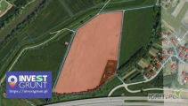 [6,29 ha] przetarg nieograniczony na 3-letnią dzierżawę gruntów rolnych [powiat dębicki, woj. podkarpackie] użytek PsIII  roczny...