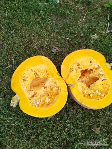/images/posts/2024/09/1913848/K1ket2DxKPoqsegzL91SLocRxN9c46xbHW4WjVru.jpeg