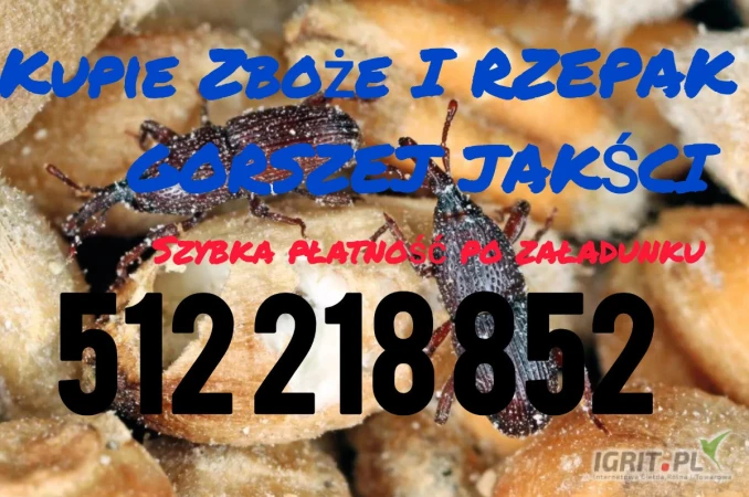 /images/posts/2025/06/2021156/4nZzbq53WUK2FyqCo5PLnDEndoglMWzoNJZ9PyPU.jpeg