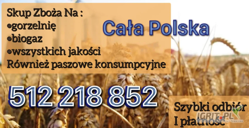 /images/posts/2025/06/2021156/V4BEjqcR1i5f3Hb9lr10RNe4ckYQ2CzaD4Zd5OBS.jpeg