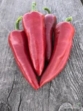 Sprzedam ostrą paprykę chili.
