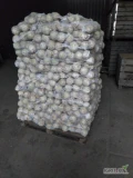 Sprzedam seler handlowy, myty szczotkowany. Bardzo dobra jakosc, bielutki po wysuszeniu. Kaliber 400-1000gram. 