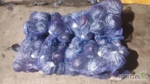 Sprzedam na poniedziałek ostatnie 3.5 tony kapusty na paletach euro 7*500kg 
