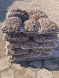 Sprzedam ziemniaki Catania wielkość sadzenika 30-45 pakowane w worki 15 kg. Posiadam około 2t.