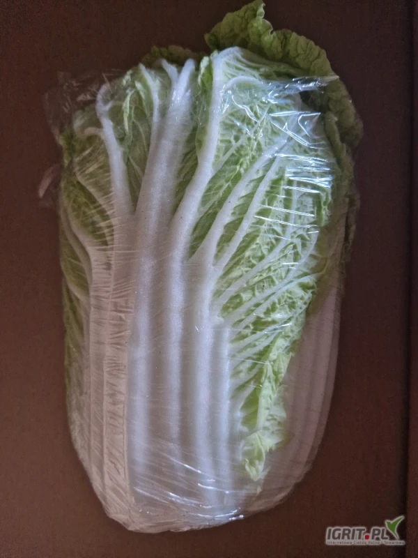 /images/posts/2025/06/2021368/katTAhoMhwPyvWSTFTnp87XtLnZBSc7Fpl8bBWXN.jpeg