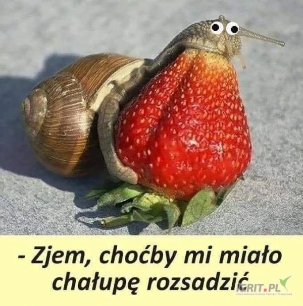 /images/posts/2025/06/2021371/E7PMKmdIhXIeos7WEZaGXcEkMnS2RRhmPbTgfeXX.jpeg