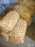 Sprzedam ziemniaki odmiana tajfun. Kaliber 30-50. Ziemniaki spakowane w worki po 30 kg. Ilość 2 tony.