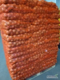 Sprzedam Cebulę Żółtą jasna łuska; ilości cało-samochodowe; pakowana worek 5/10/15 kg; kaliber 5-7 i 7+ TEL: 697-467-336