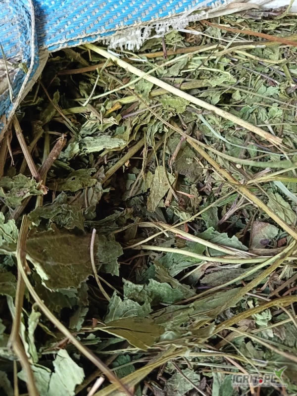 /images/posts/2025/05/2009434/TqYxhdEEWE6NoM6zUHeMUc3OC9PwyP4KRMhRhPOa.jpeg
