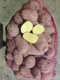 Sprzedam ziemniaki jadalne odmiany Bellarosa ,Quinn Anna ,Saina,Jurek,Denar worek 15kg ok 6ton