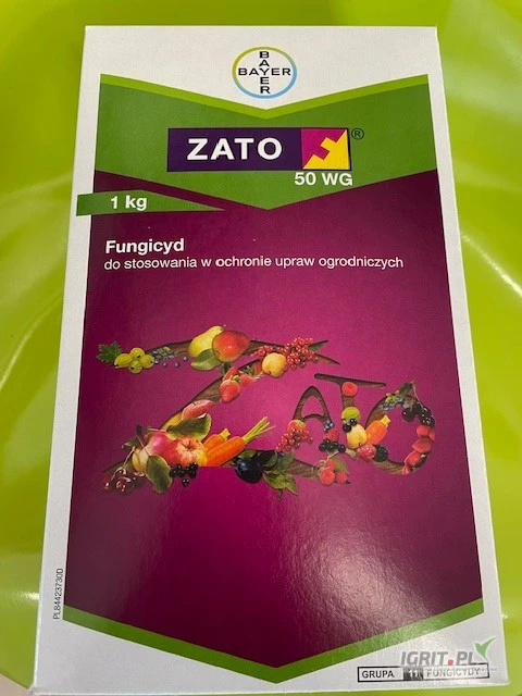 /images/posts/2025/03/1986727/4AvAnHKIEOiBjGxwSb1v8to4c2v75fOIAsWXL4Fr.jpeg