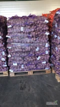 Sprzedam ziemniak z certyfikatem Fito. Żółty oraz biały. Pakowanie  - worek 15 kg. Kolor worka - fioletowy, biały żółty.  Szybkie...