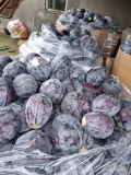 Kupie kapuste czerwona 1.5kg-3.5kg, opakowanie kqrotn box. Ilosci tirowe, interesuje mnie rowniez kapuste biala