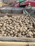 Sprzedam ziemniaki odmiana Lilly z badaniami fito kal. 45+, Luzem lub pakowane w worki 15 kg, ilości tirowe.