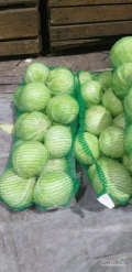 Sprzedam kapustę białą, 21t.  kaliber 1-4kg, cena  1,95zł .