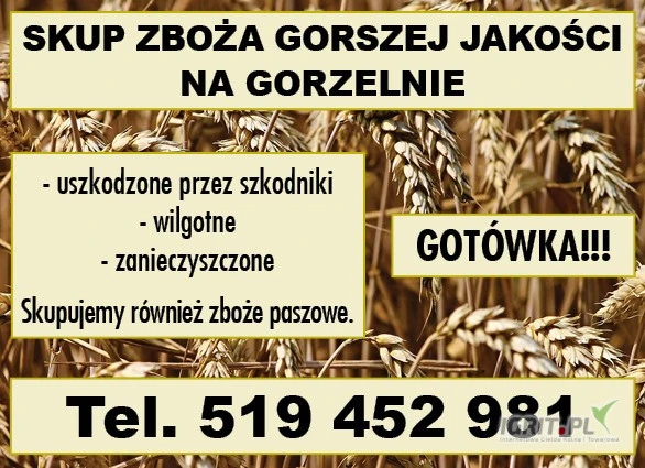 /images/posts/2025/05/2009990/SjpXx00BjyNZ7EFnlsbnra6LHlnMRjahTRHatoya.jpeg