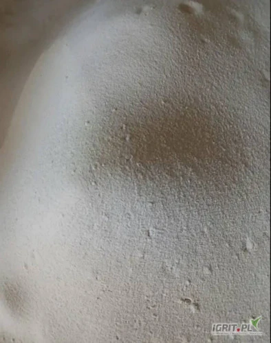 /images/posts/2024/12/1945356/zxuNPt8NhPtrtM4W06VCKPmZghLpW0doMgrMEHXF.jpeg
