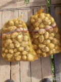 Witam. Sprzedam ziemniaki młode. Pakowane po 15-20 kg. Możliwe ilości tirowe. Więcej informacji udzielę telefonicznie. 