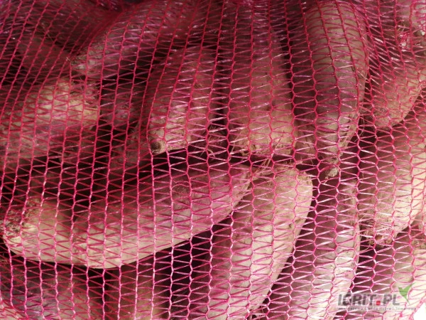 /images/posts/2024/07/1883302/9QZvG2VtcvfqKVIRIhtdQ3OkSuHC0RllYGjIPlNF.jpeg