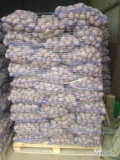 Ziemniaki czerwone odmiany Baltic rose. Kalibraż 45+ . Pakowane w worek 15 kg. Ilości tirowe. Cena 1,10 zł za kg.