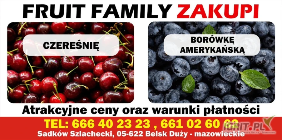 /images/posts/2025/06/2021681/0R0lr8ziBITYZQhAJdL6i5WBdi7phw9UNWyob3BV.jpeg