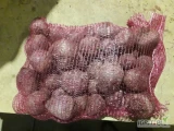 Sprzedam buraczki kaliber 3-5 5-10 oraz 10+ oraz paszowe. Towar z chlodni. Opakowanie do uzg.