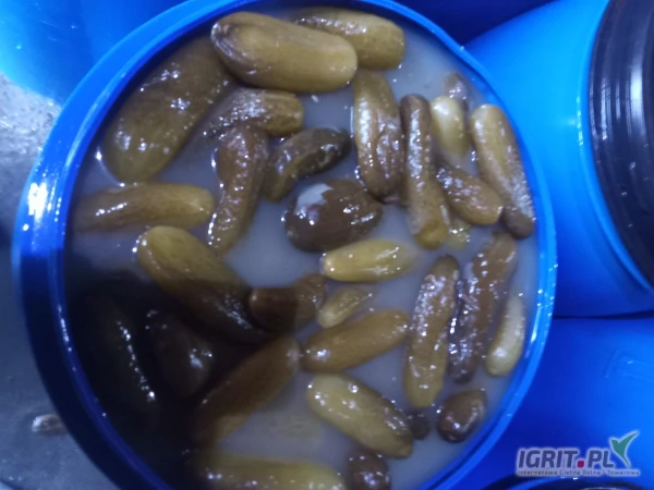 /images/posts/2025/05/2009966/TIYsYaoTdBlOhxl2xruO5FLaOCUQHCN0PHdEU9mA.jpeg