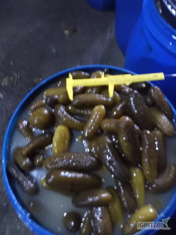 /images/posts/2025/05/2009966/RVNjPq9hFlxAScmjjy9zFaVGDkiNWSgsjTd5Q72A.jpeg