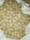 Sprzedam ziemniaki odpadowe pakowane po 30 kg posiadam około 3 tony polecam 