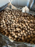 Sprzedam ziemniaki odmiany Soraya, kaliber 4-5,5, luzem, bb lub worek 15 kg raszlowy szyty, ilości tirowe, cena 1,7 zł/kg,...