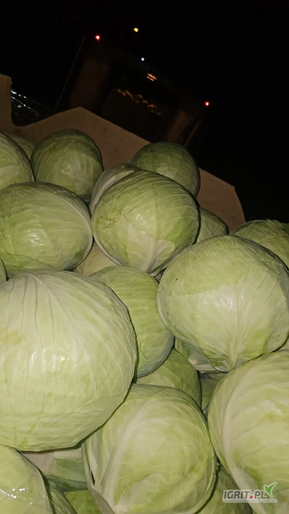 /images/posts/2025/03/1987011/XR6QoJXwyhAAsiqQbBXCFrpYYYet234KRWx1Wx52.jpeg