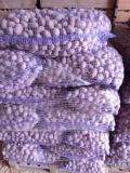 Ziemniaki odmiany Baltic rose kalibraż 30-45mm. Pakowane w worek 30 kg. Cena 1,10 zł za kg.