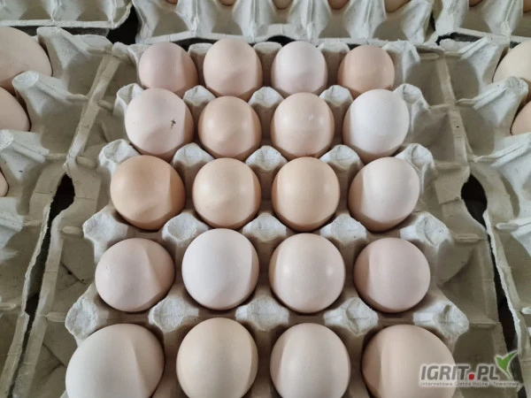 /images/posts/2024/07/1880146/bvWQkNh76WjRgjkg1KYtWXpSrVdgbywmqFsnQDSs.jpeg