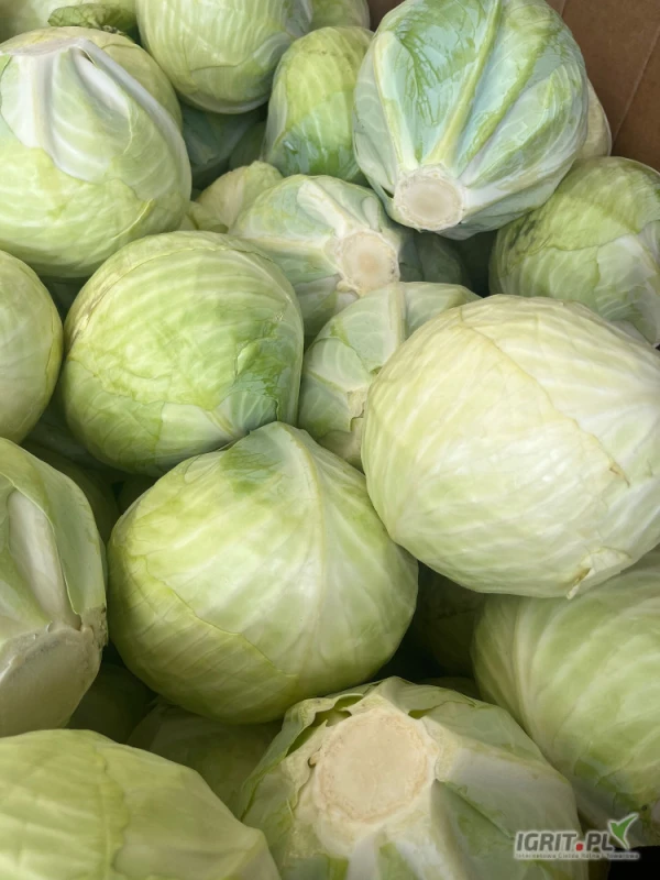 /images/posts/2025/05/2009591/K0Mwb7Au7nVrEDq1TplojvKvcHt5tTxN5Qeef2VX.jpeg