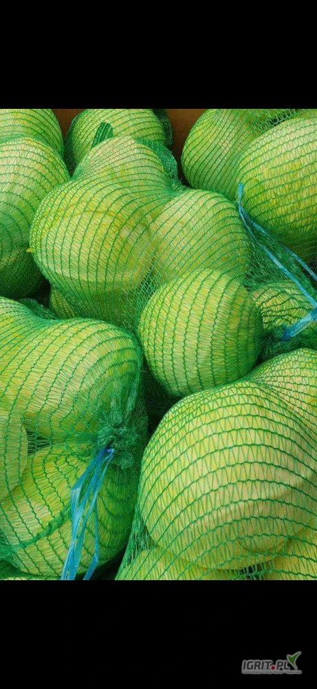 /images/posts/2025/05/2009591/fHU3kctHsTbReDDZUsVPbdwV9eOGjGXnjauyioom.jpeg