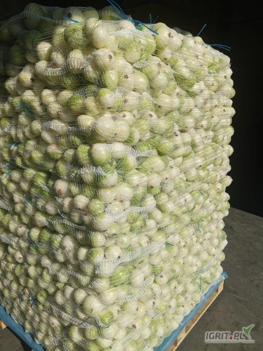 /images/posts/2024/06/1872544/vaESNdb3rwWsZ72wSCyRQYTWHaS3XqnveEDcH8x8.jpeg