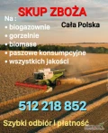 Kupię zboże gorszej jakosci niepełnowartościowe z zapachem,porażone.zanieczyszczone Szybki odbiór gotówka po załadunku Fv. 512 218...